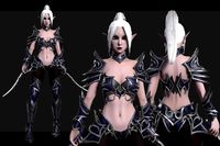 Dark Elf Assasin