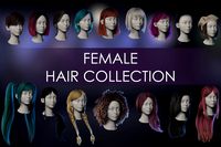 Female Hair Collection - Big Hairstyle Set (16 pieces)