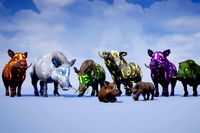 Realistic Boars