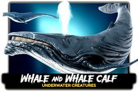 Whale &amp; Whale Calf - Realistic 3D Model - Underwater Creature Monster - #23