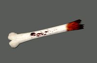 Bone