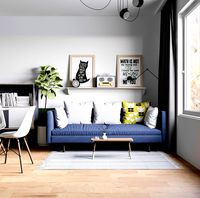 Scandinavian style house