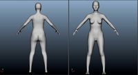 3D Female Model
