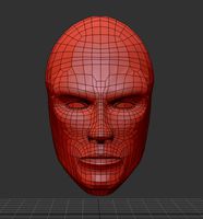 Head
