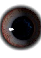 eye