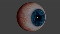 Realistic Human Eye