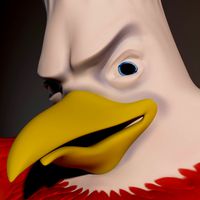 Bird