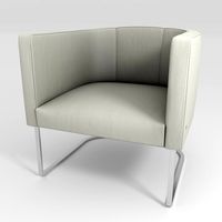 Armchair DS-207 by De Sede