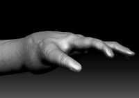 hand(1)
