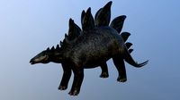 Stegosaurus