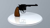 Revolver Model
