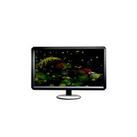 LCD Monitor