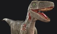 Raptor Game Ready