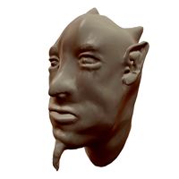 Face