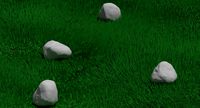 Grasses