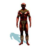 Zulu Warrior