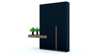Entrace closet 001