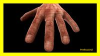 Hand