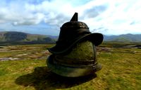 3D helmet