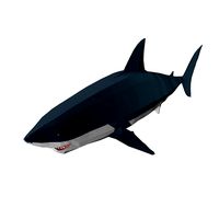 shark
