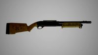 Shotgun