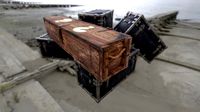Call Of Duty Zombie Mystery Box
