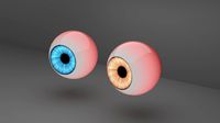 Human Eyes