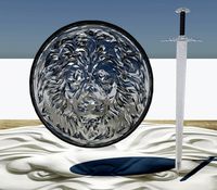 Sword and shield