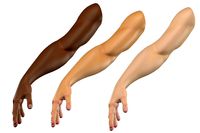 Customizable Rigged Arm Hand Cartoon