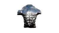 Male Torso