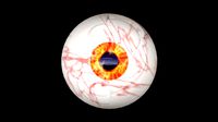 Free rigged eye of the dream world