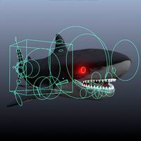SHARK FULL RIGGED
