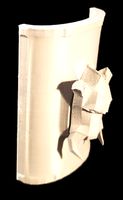 Boar Shield 3dPrint