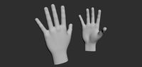 Hand Base Mesh