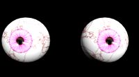 free eyes 14