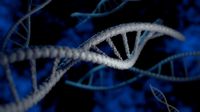 Stylized DNA Double Helix
