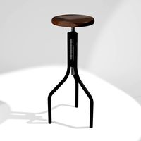 Adjustable Bar Stool