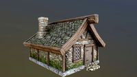 Medieval House