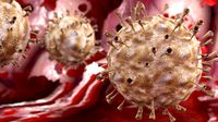 Corona virus