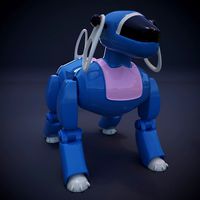 Robot Dog