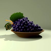 Vine Grape on a Plate