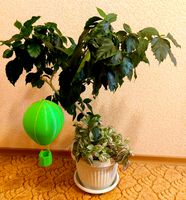 DIY Hanging Hot Air Balloon