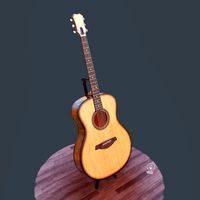 Acoustic Guitar