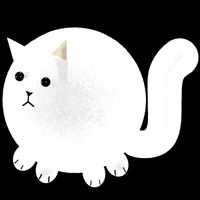 Circle Cat