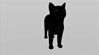 Grey Cat