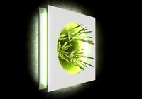 Alien flower By Alisa Sheinson