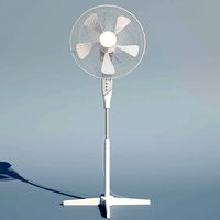 Pedestal Fan - Working
