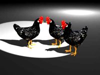 Hen