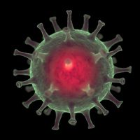 Coronavirus Covid-19