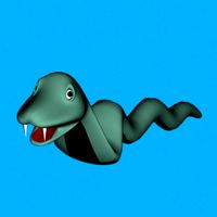 snake